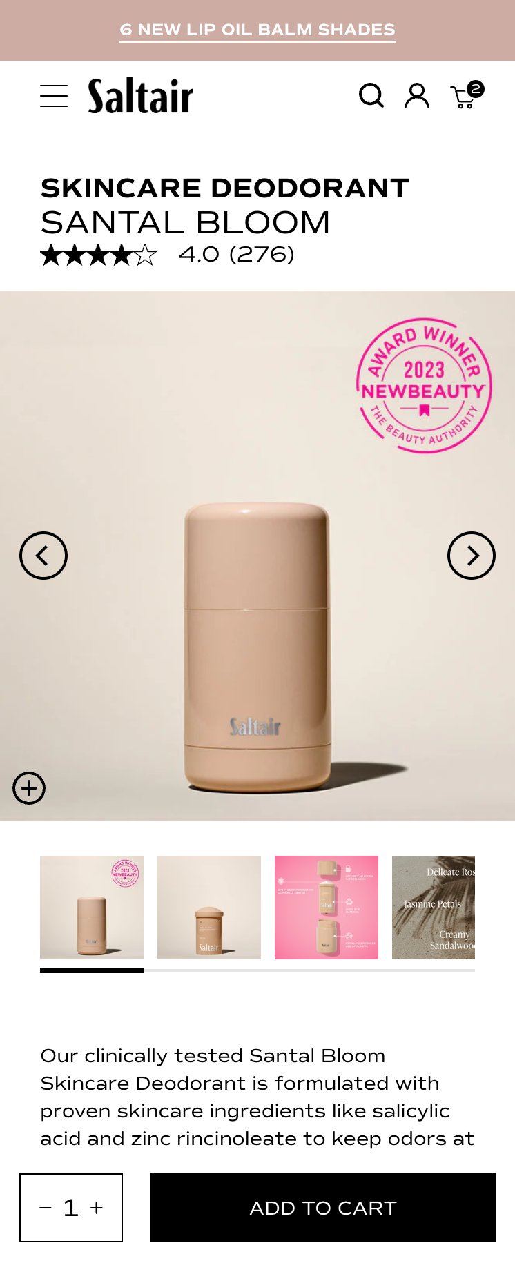 Saltair control design